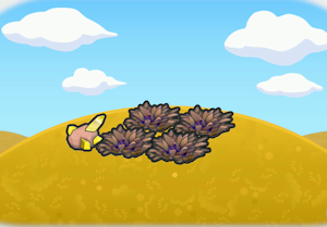 보송보송한 풀숲